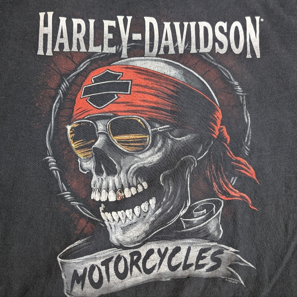 Harley Davidson Naples Fl Men's XL Tee